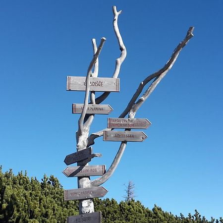 Chalet Zlatica Velika Planina Stahovica Bagian luar foto