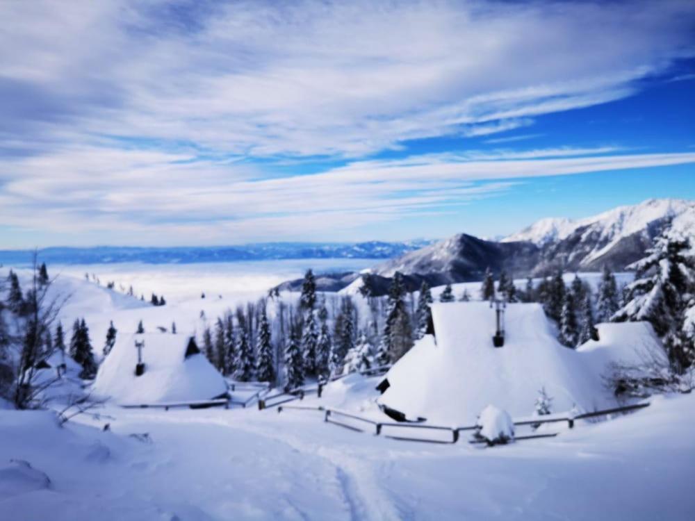 Chalet Zlatica Velika Planina Stahovica Bagian luar foto