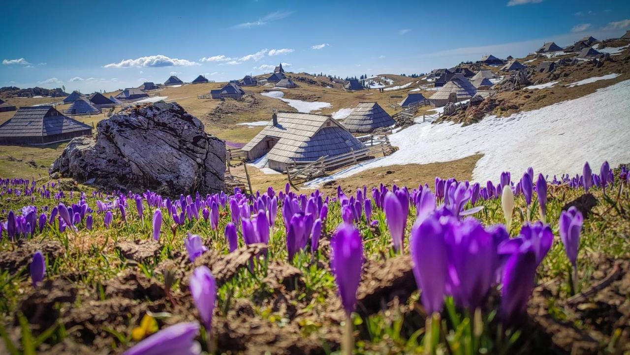 Chalet Zlatica Velika Planina Stahovica Bagian luar foto