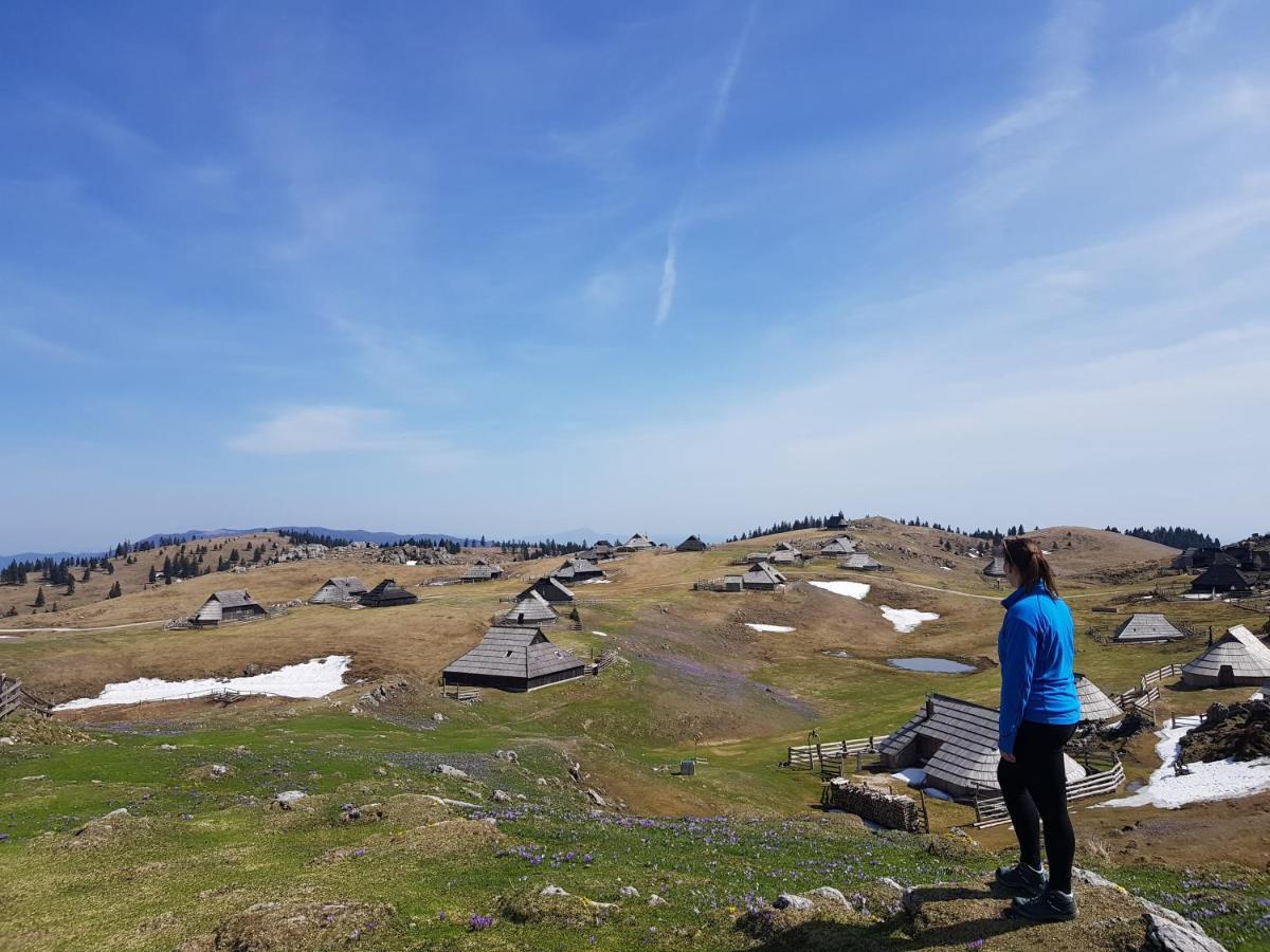 Chalet Zlatica Velika Planina Stahovica Bagian luar foto