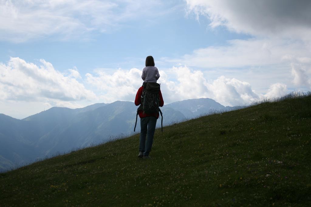 Chalet Zlatica Velika Planina Stahovica Bagian luar foto
