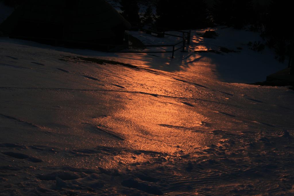 Chalet Zlatica Velika Planina Stahovica Bagian luar foto