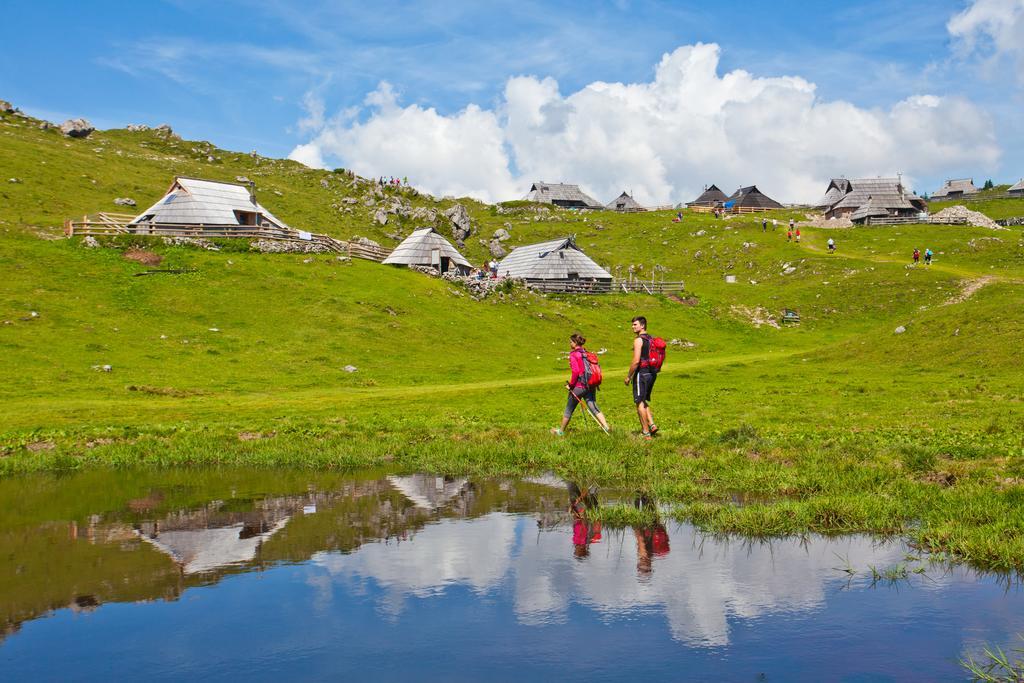 Chalet Zlatica Velika Planina Stahovica Bagian luar foto