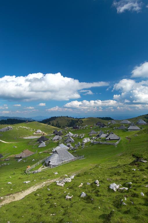 Chalet Zlatica Velika Planina Stahovica Bagian luar foto