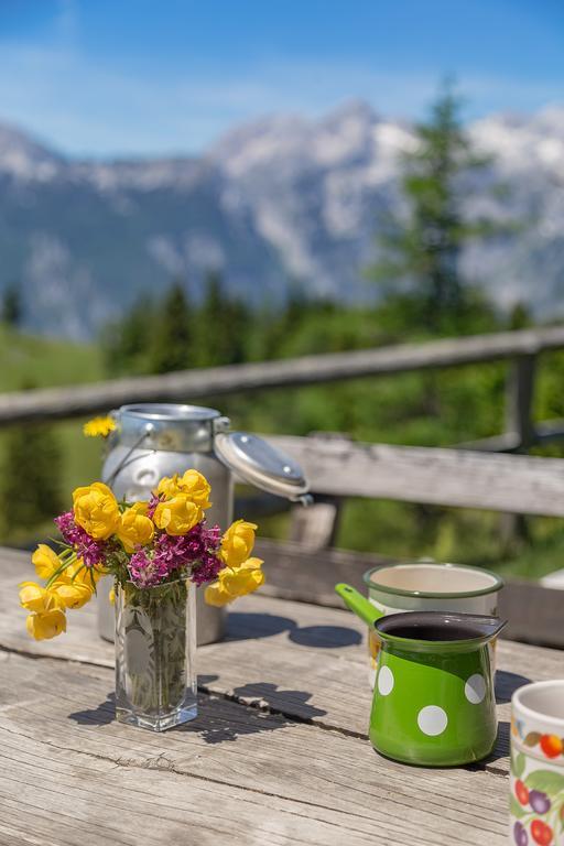 Chalet Zlatica Velika Planina Stahovica Bagian luar foto